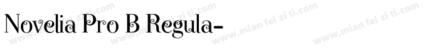 Novelia Pro B Regula字体转换